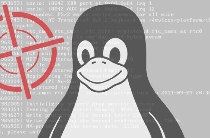 Linux kernel vulnerabilities