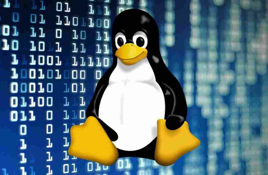 Vulnerabilities in Linux and superuser rights