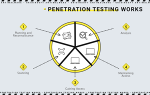Este diagrama muestra las etapas y componentes de las pruebas de penetración..