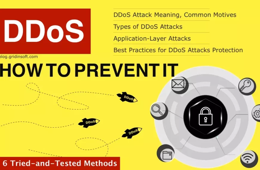 DDoS Attacks