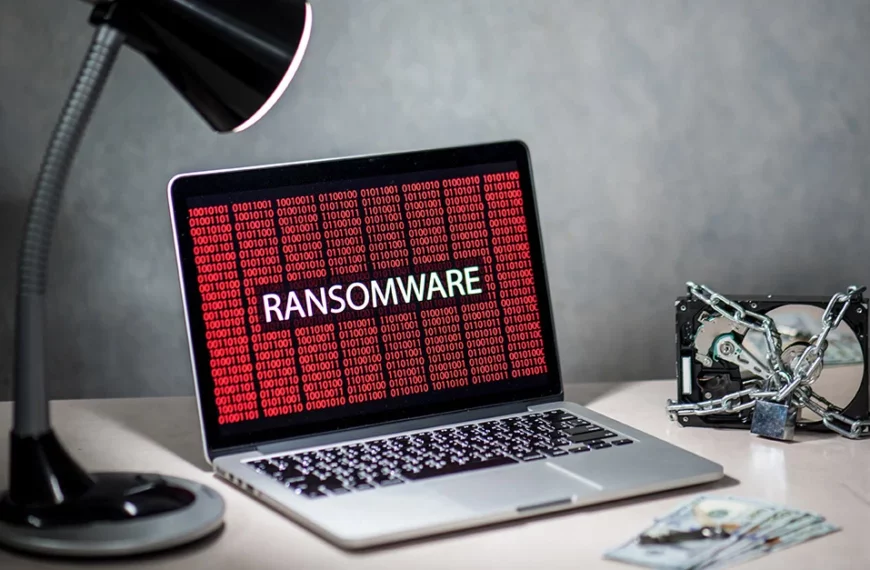 Ransomware Income Dropped