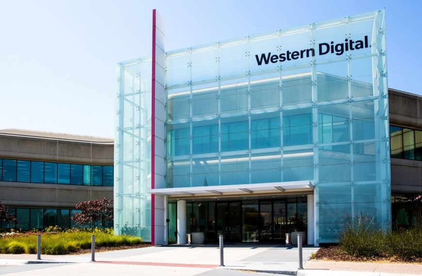 Black Cat and Western Digital