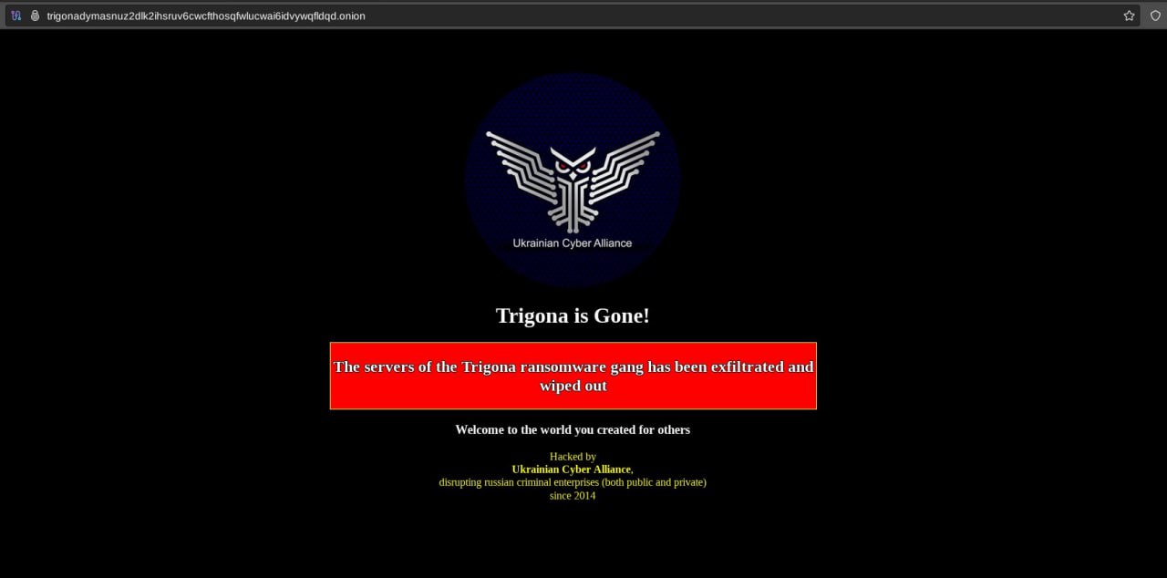 Sitio Darknet de Trigona