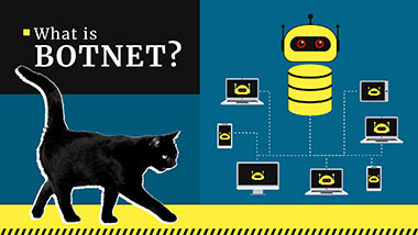 ¿Qué es Una red de robots (botnet)? ¿Como funciona? Definición y ejemplos | Gridinsoft