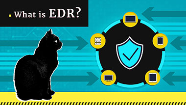 ¿Qué es la detección y respuesta de endpoints? EDR Definición | Gridinsoft