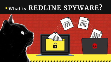 RedLine Stealer Malware | Informe de Investigación 2023