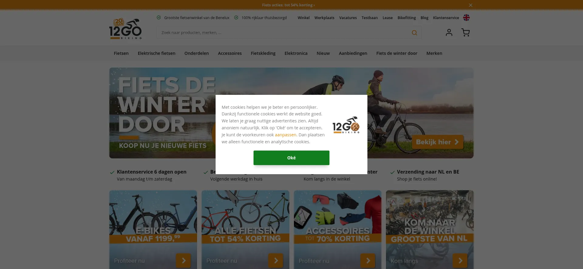Website screenshot of 12gobiking.nl