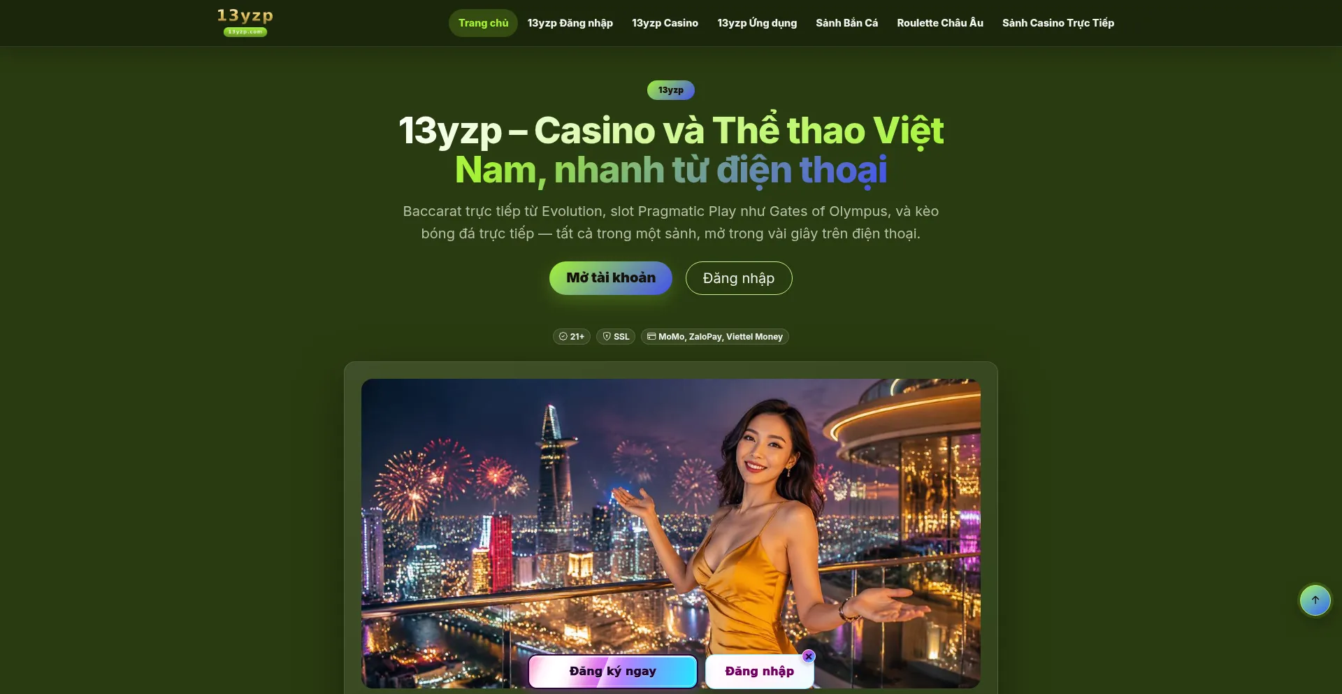 13yzp.com