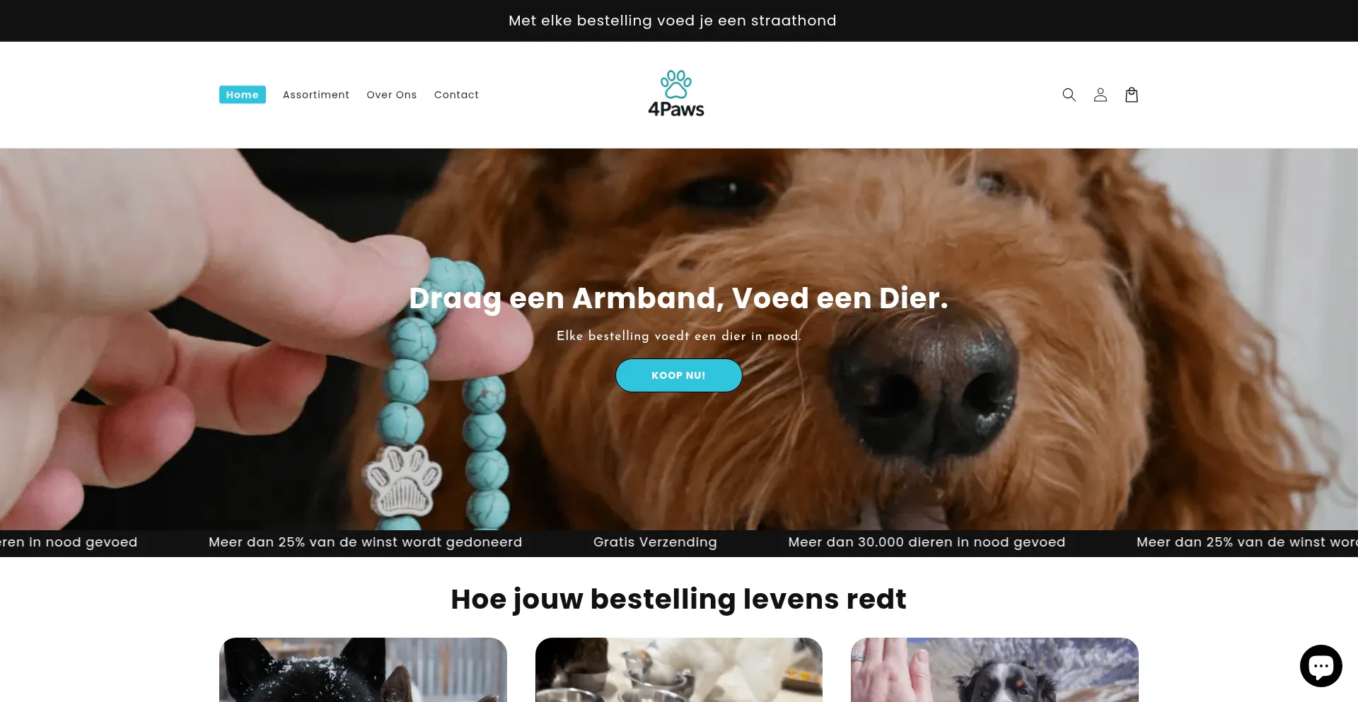 ¿És Seguro y Confiable 4pawswinkel.nl?