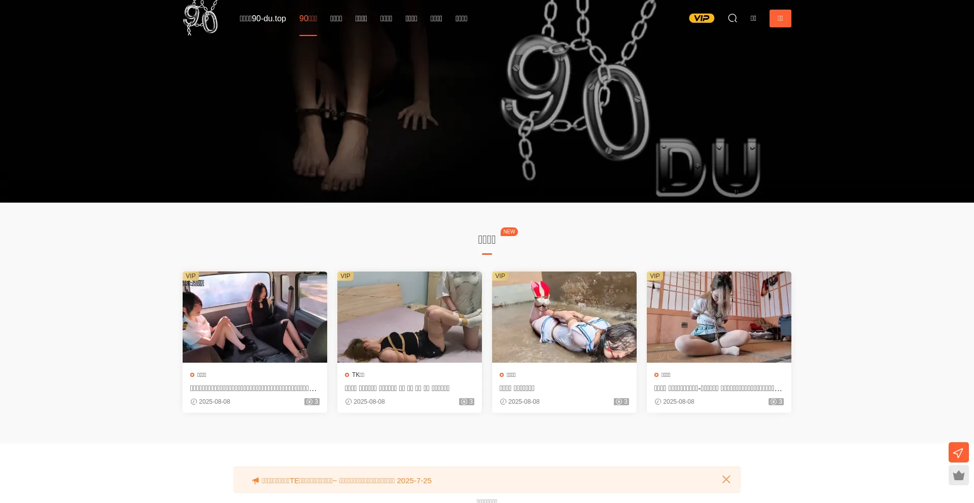 Website screenshot of 90du.top