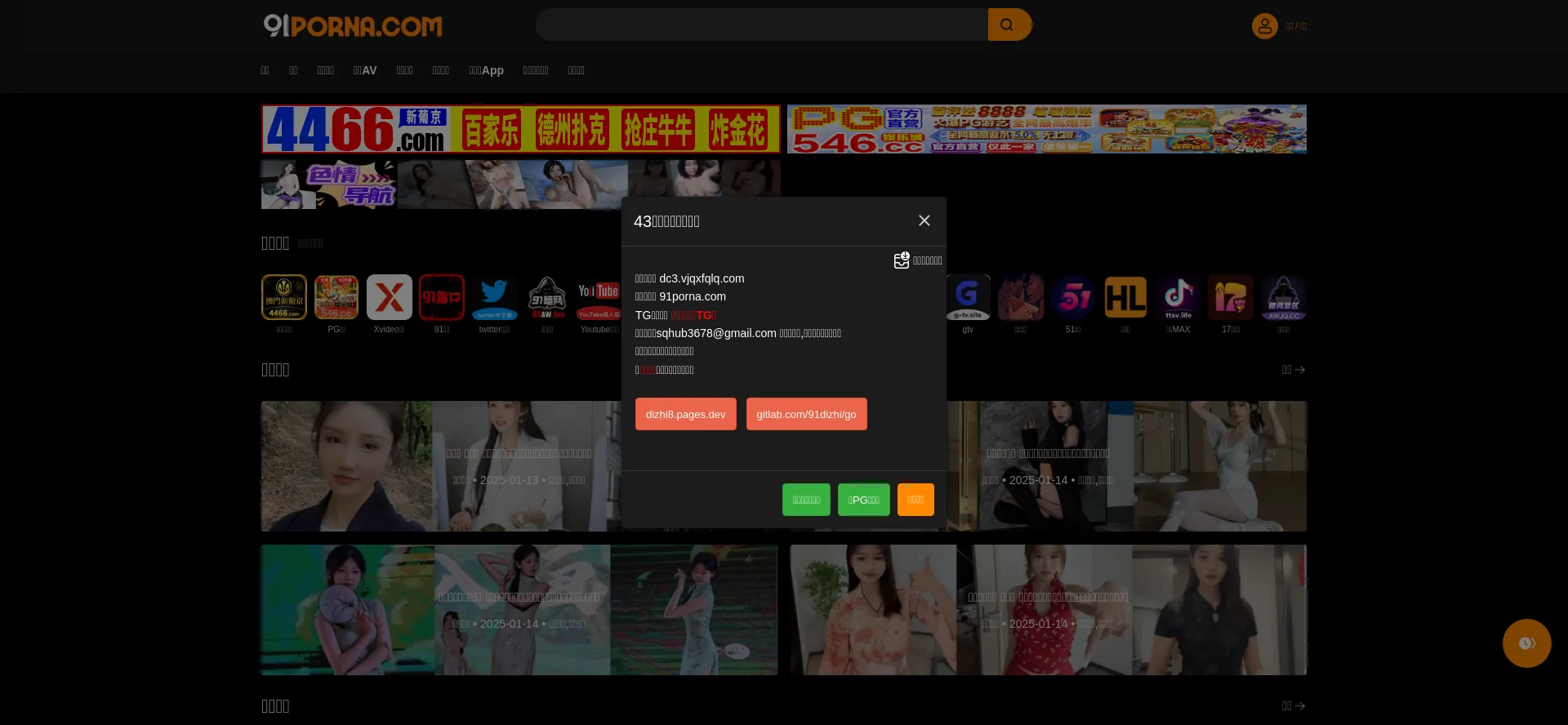 Website screenshot of 91porna.com