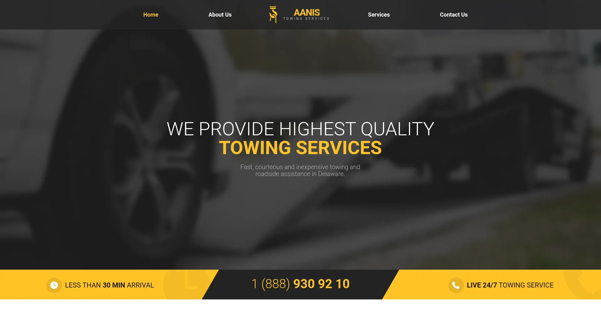 Website screenshot of Aaninsur.com