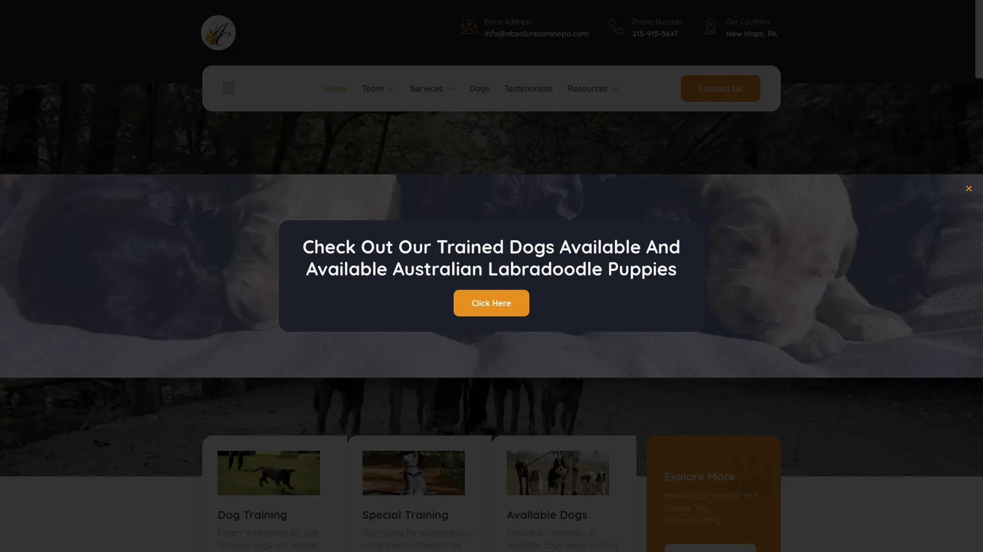 Absolutecaninepa.com