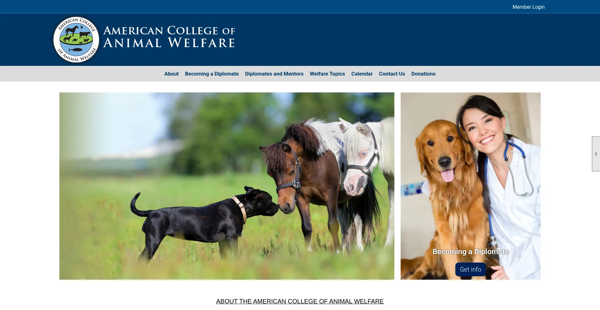 Website screenshot of Acaw.org