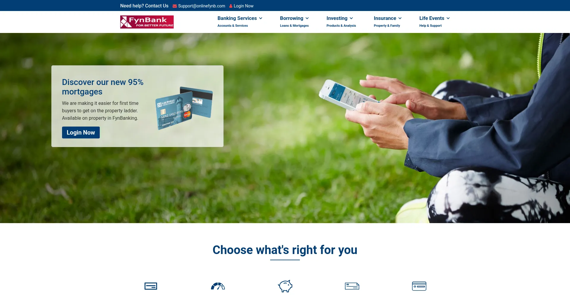 Website screenshot of Access-fynb.us