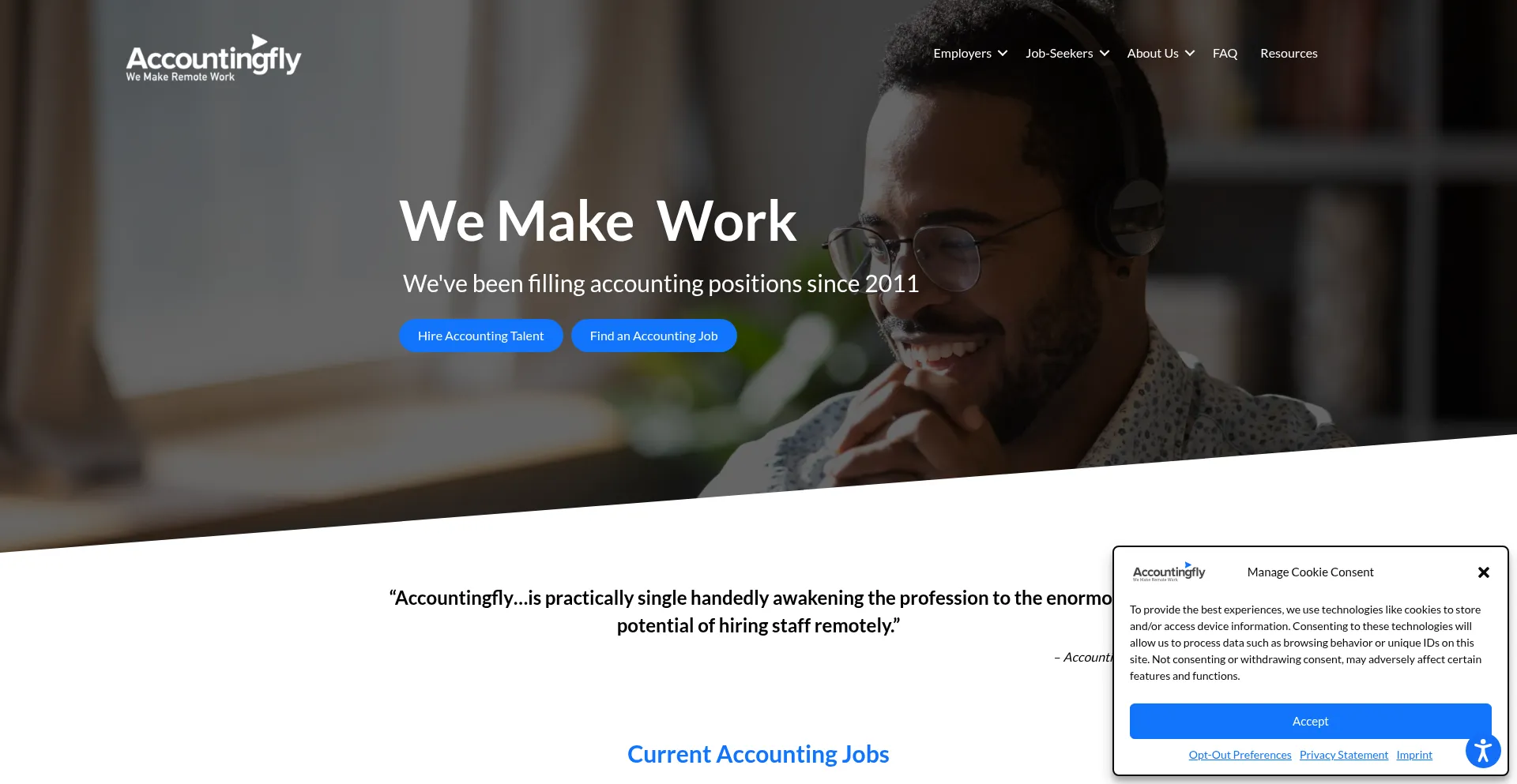 Website screenshot of Accountingfly.com