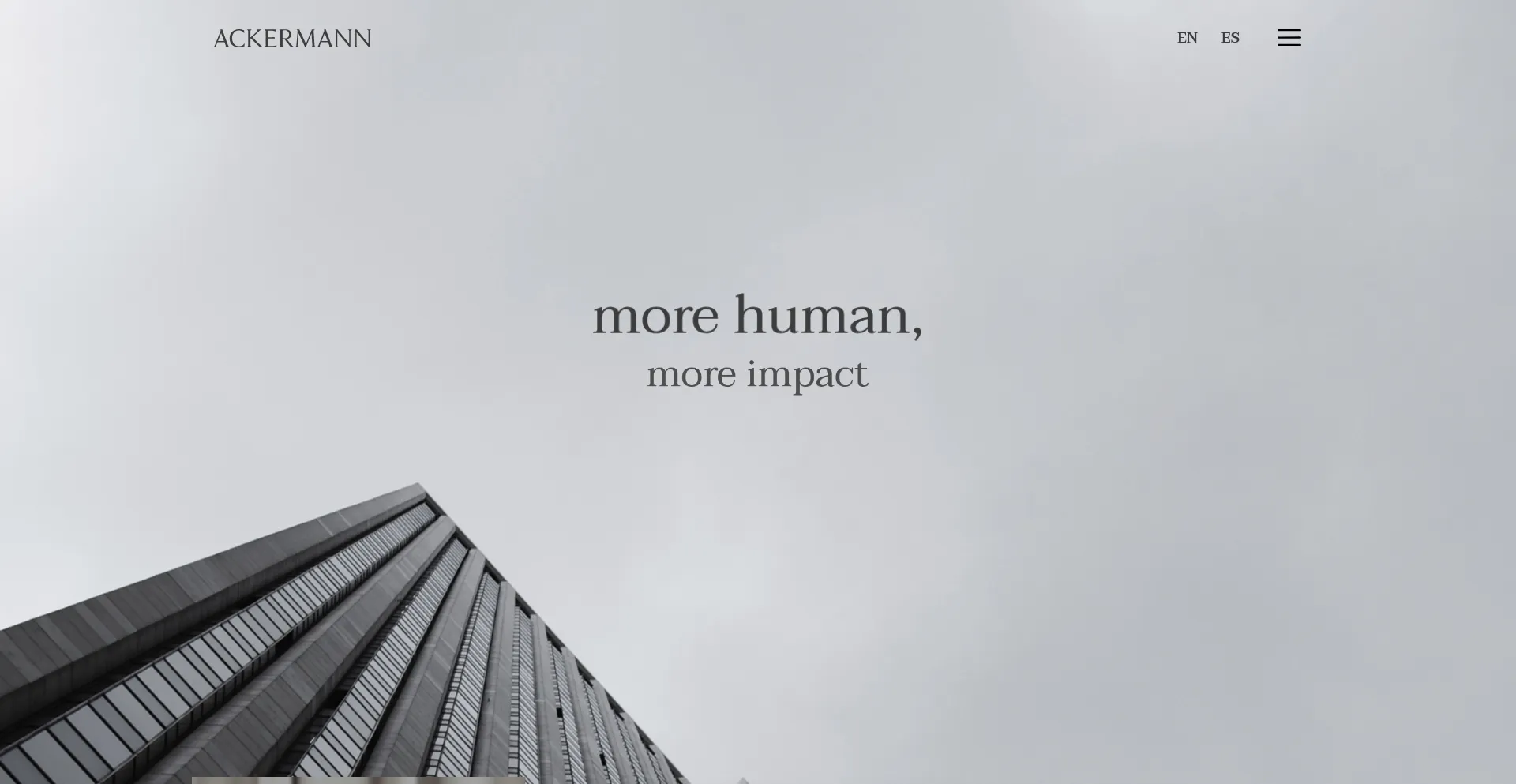 Website screenshot of Ackermanninternational.com
