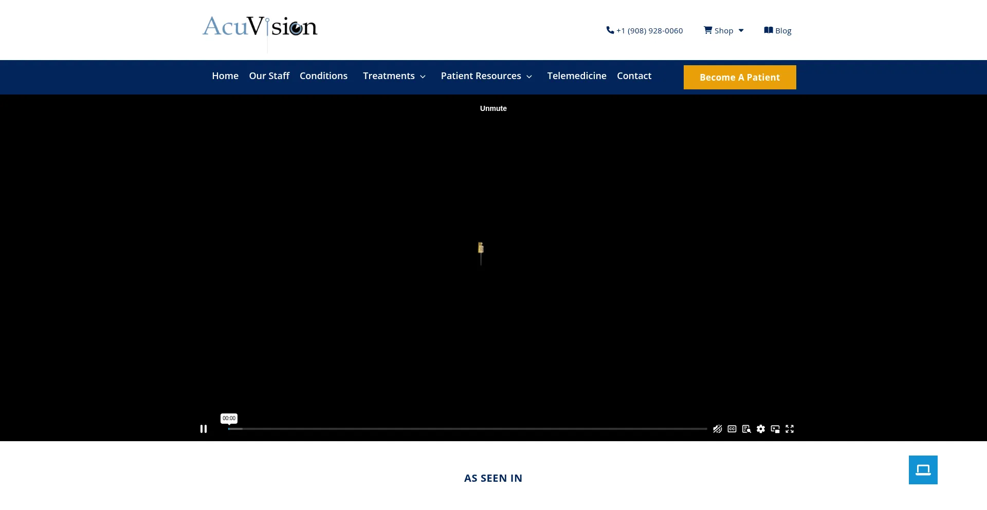 Website screenshot of Acuvisionacupuncture.com