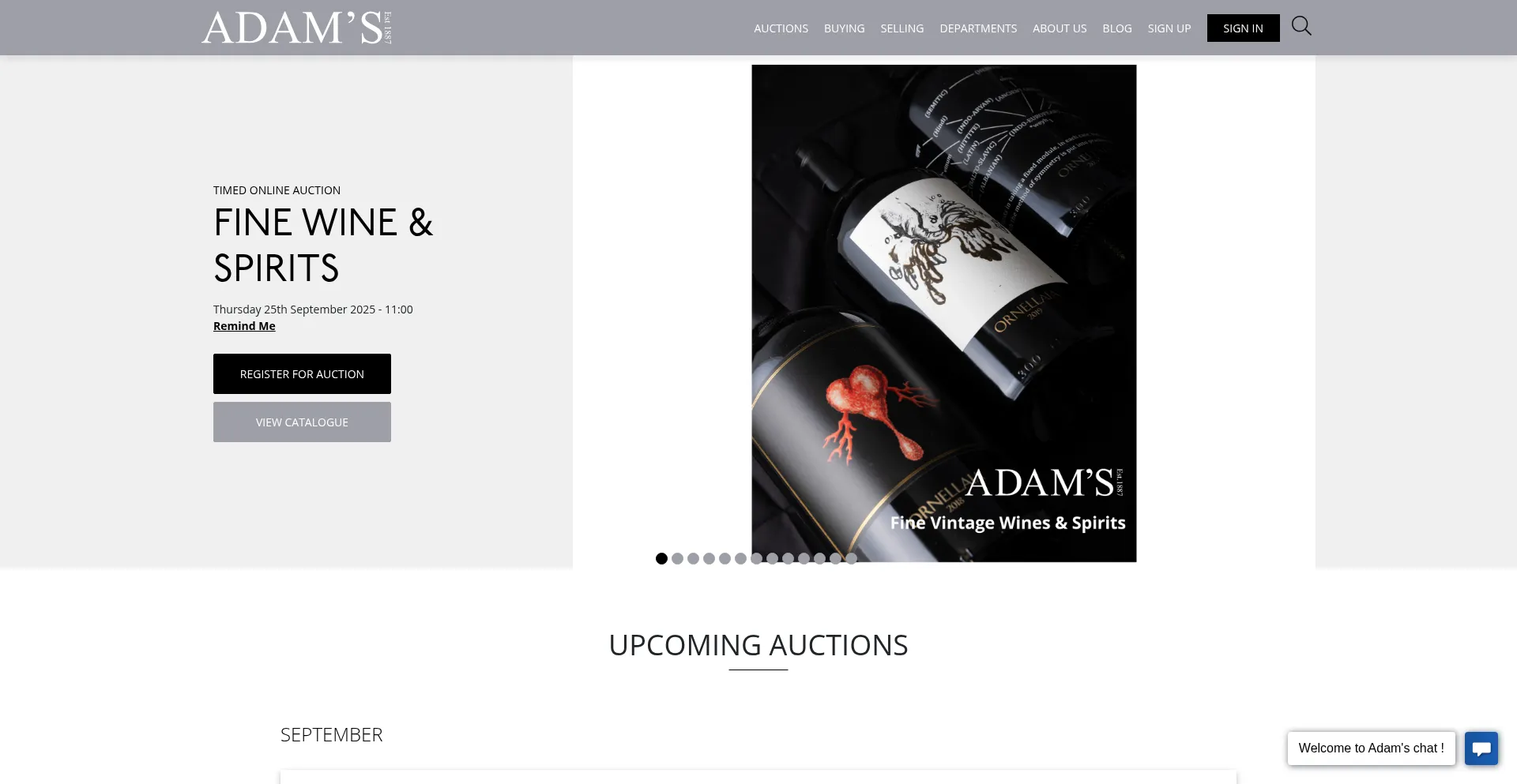 Adams.ie Screenshot