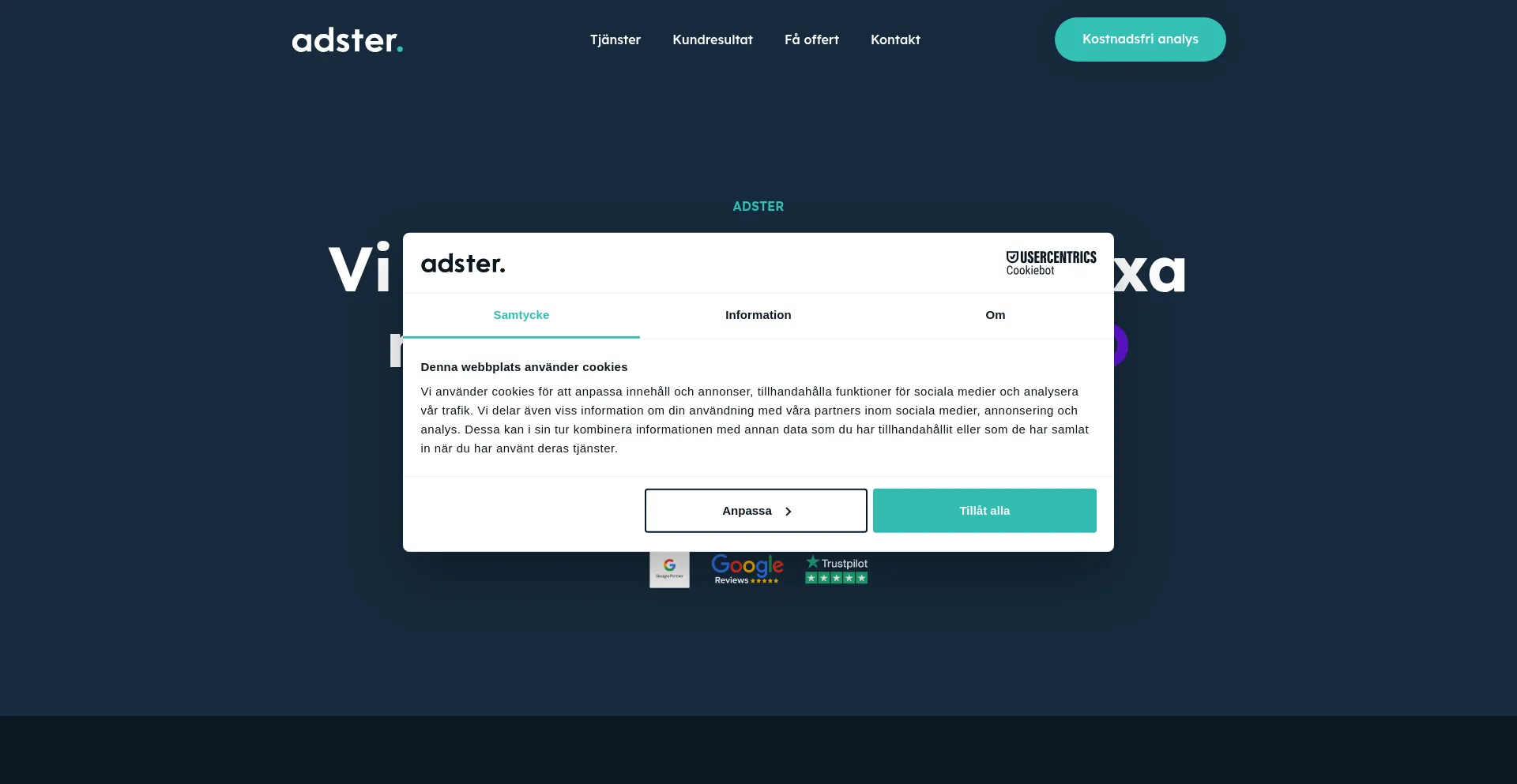 Website screenshot of Adster.se