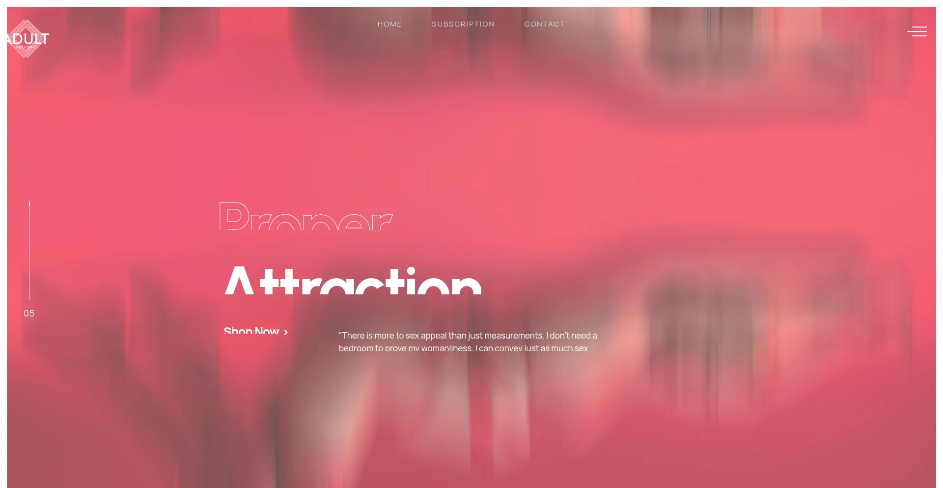 Website screenshot of Adultiptv.network