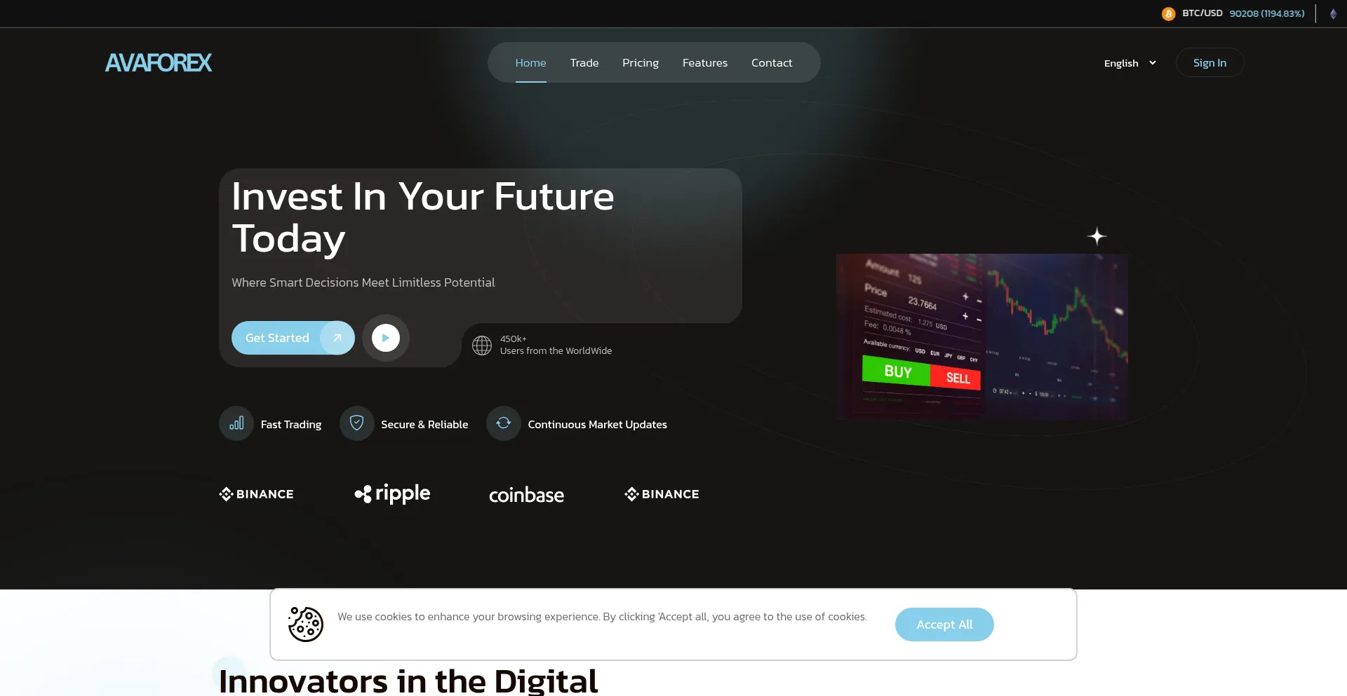 Website screenshot of Advancedvalueanalytics.com