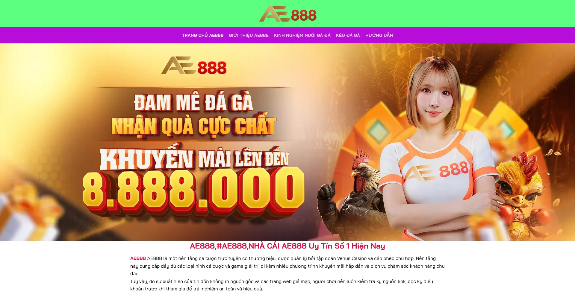 ¿És Seguro y Confiable Ae888tot.com?
