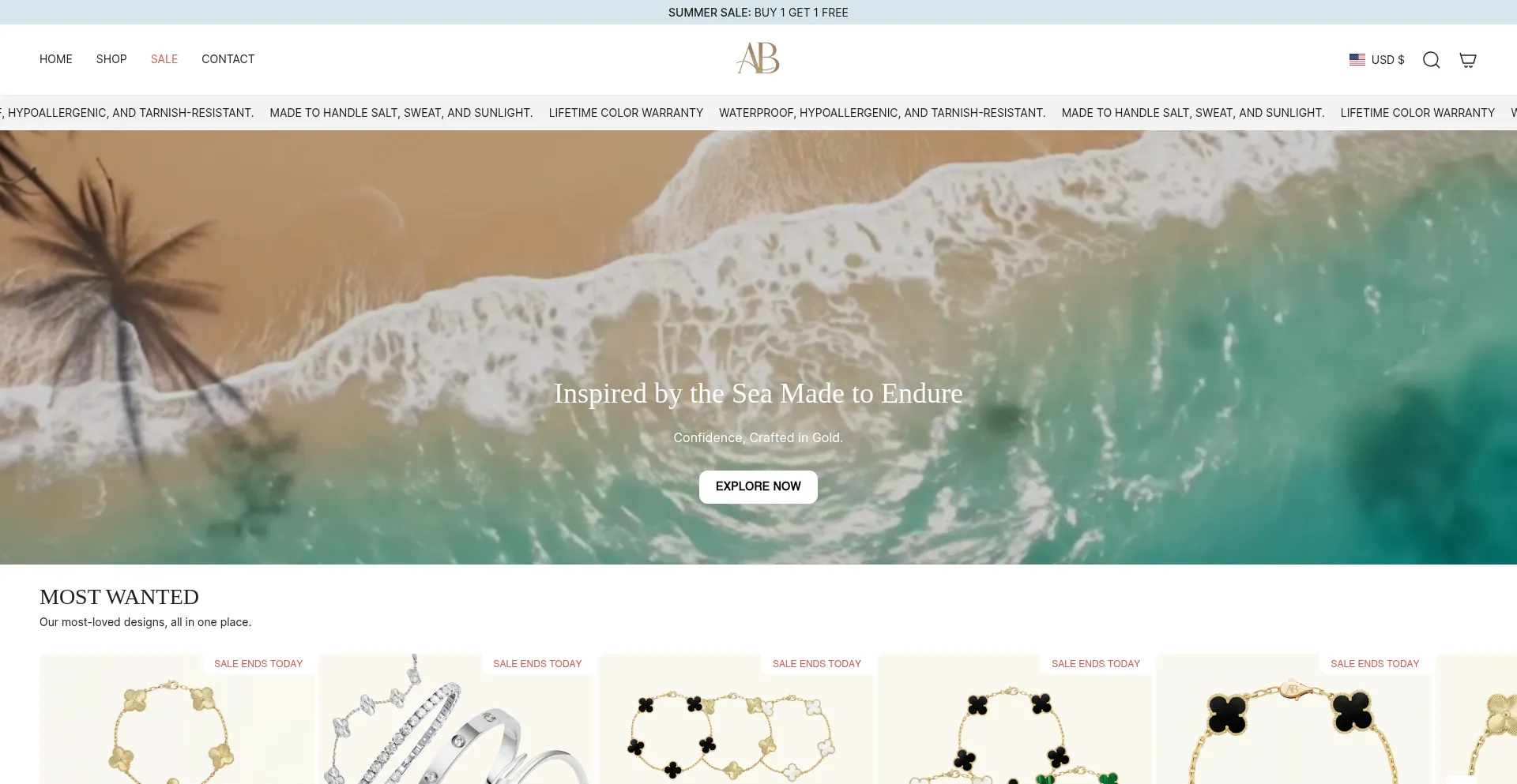 Website screenshot of Aelina-bellevue.com