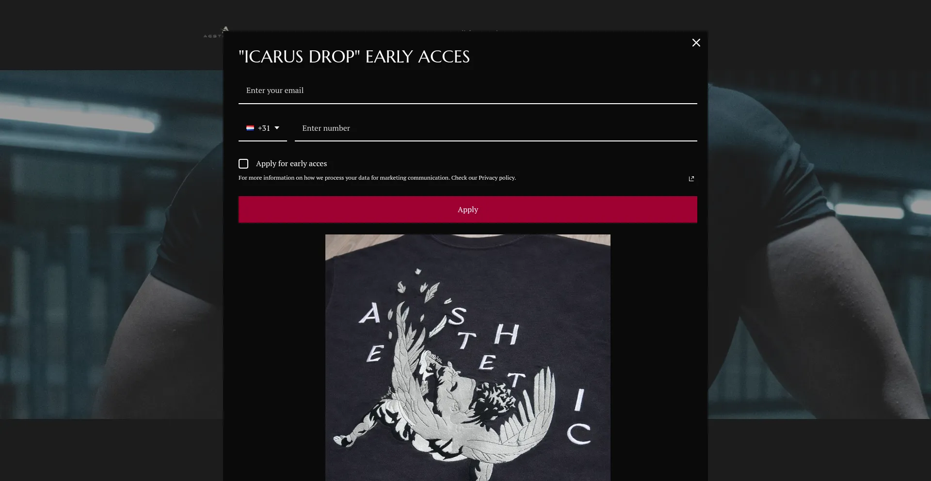 Aestheticsgymwear.com
