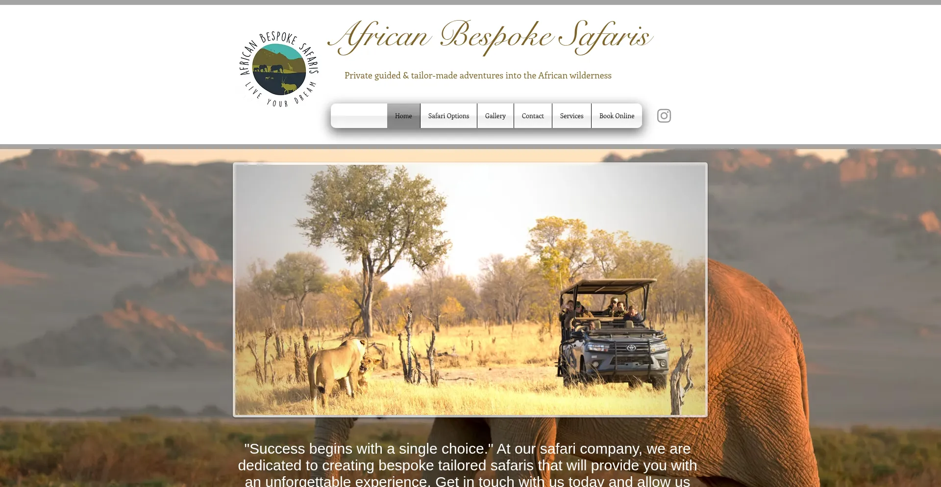 Website screenshot of Africanbespokesafaris.com
