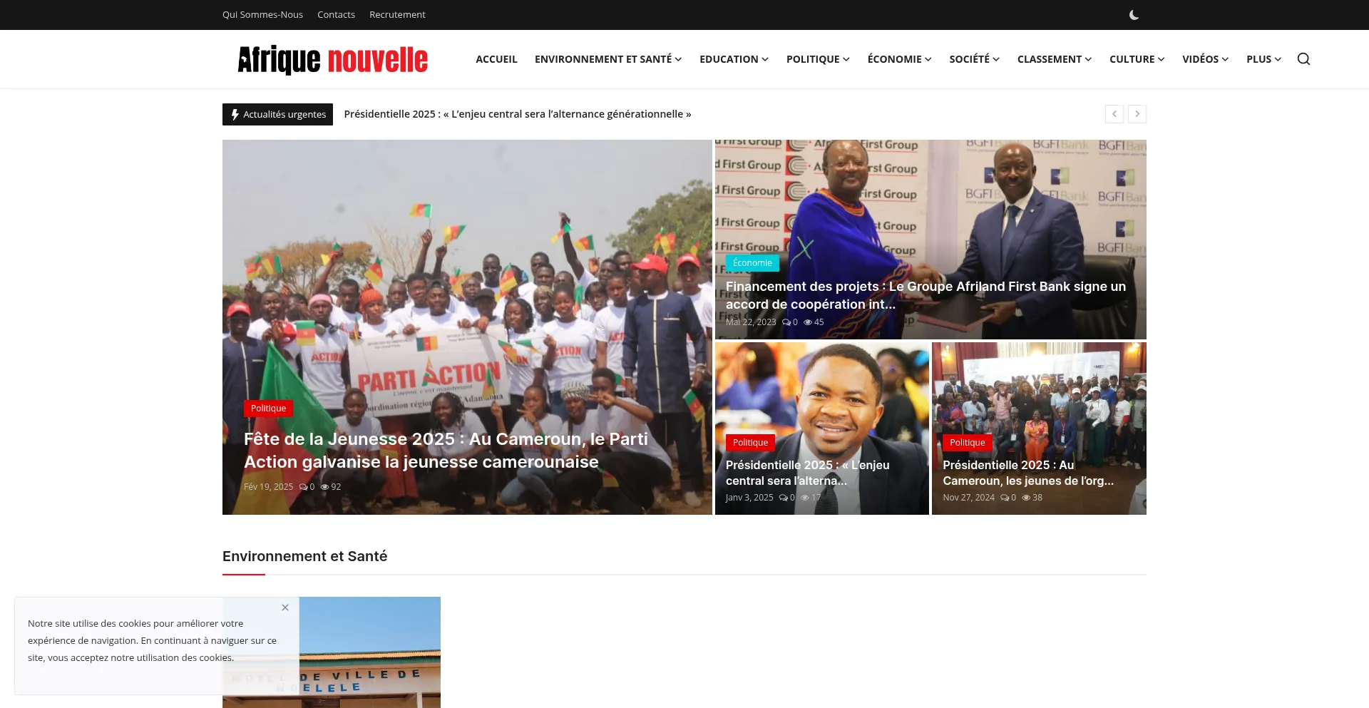 Website screenshot of Afriquenouvelle.com