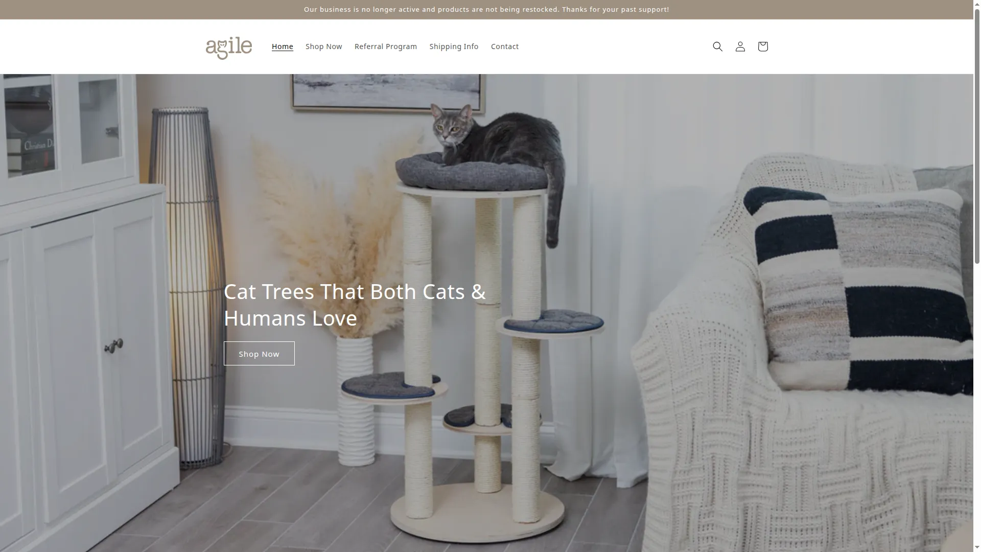 Agiledesigns.ca