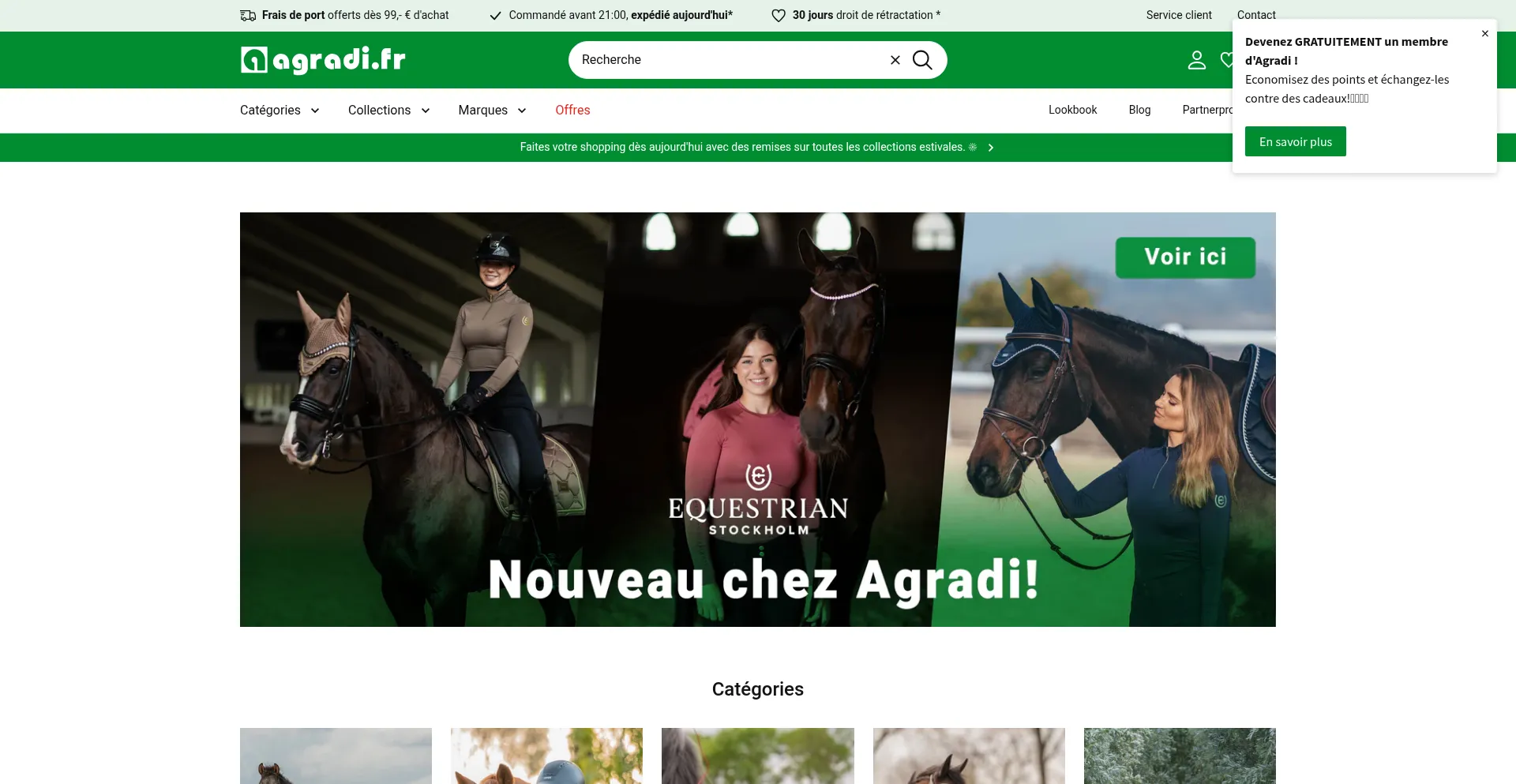 Website screenshot of Agradi.fr