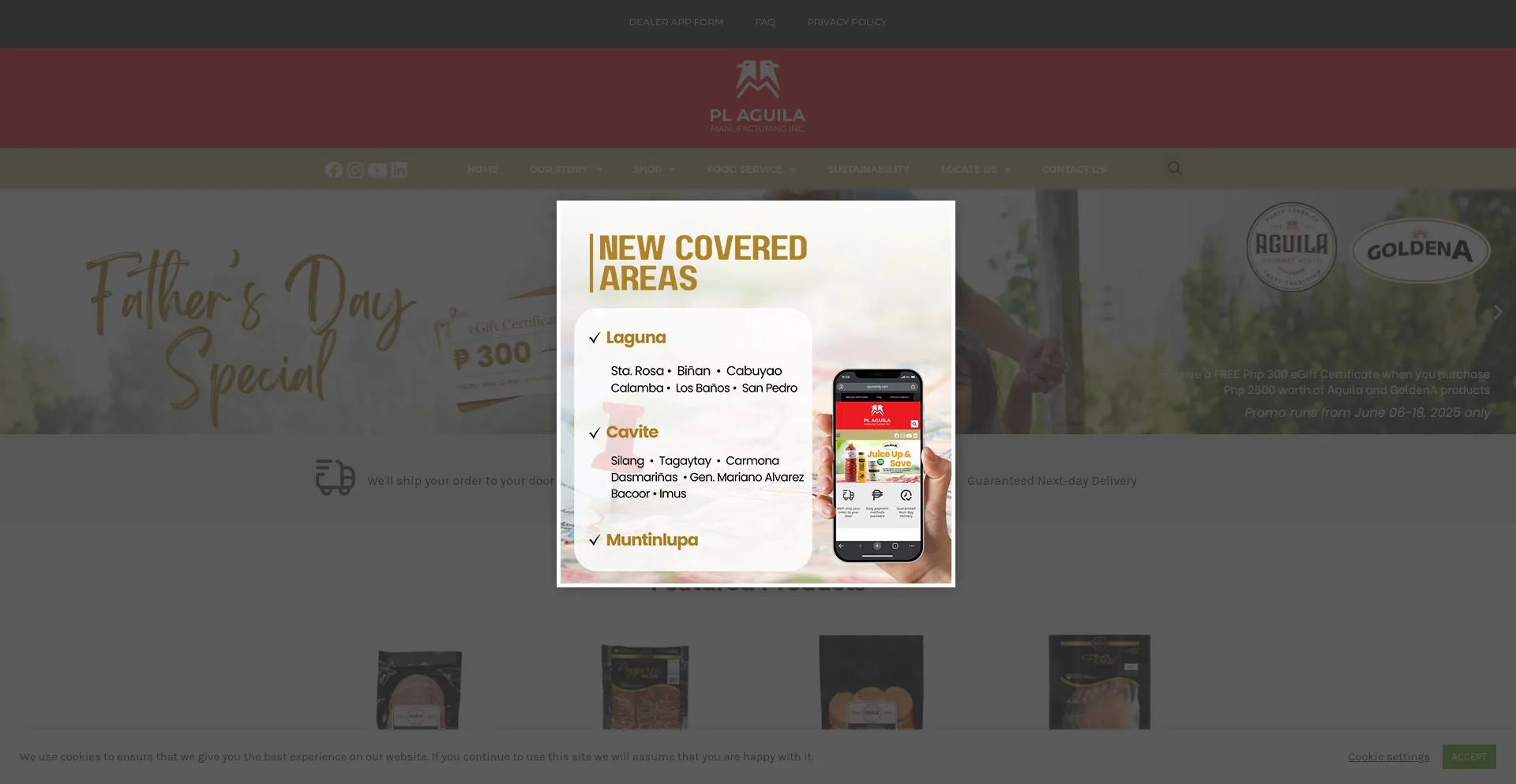 Website screenshot of Aguilamfg.com