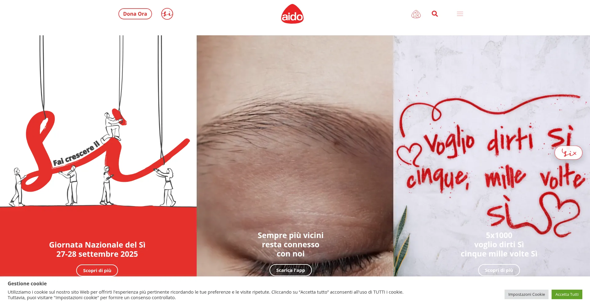 Website screenshot of Aido.it