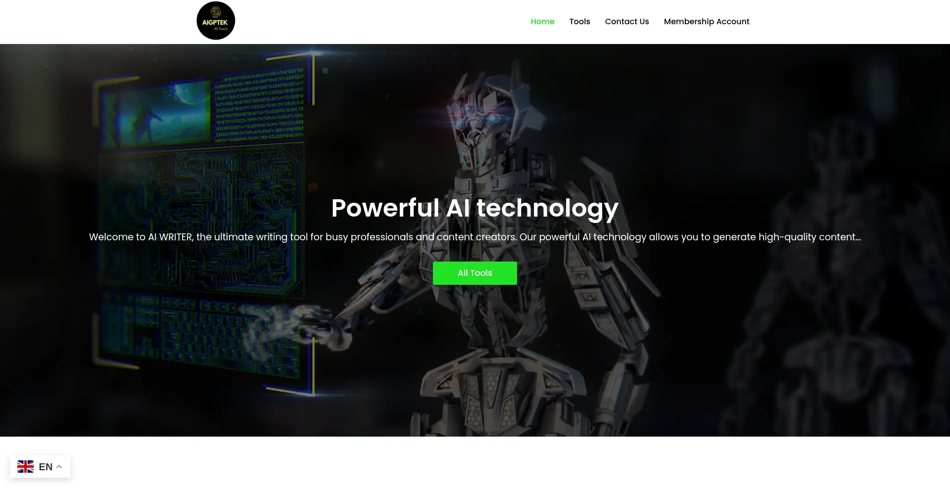 Website screenshot of Aigptek.com