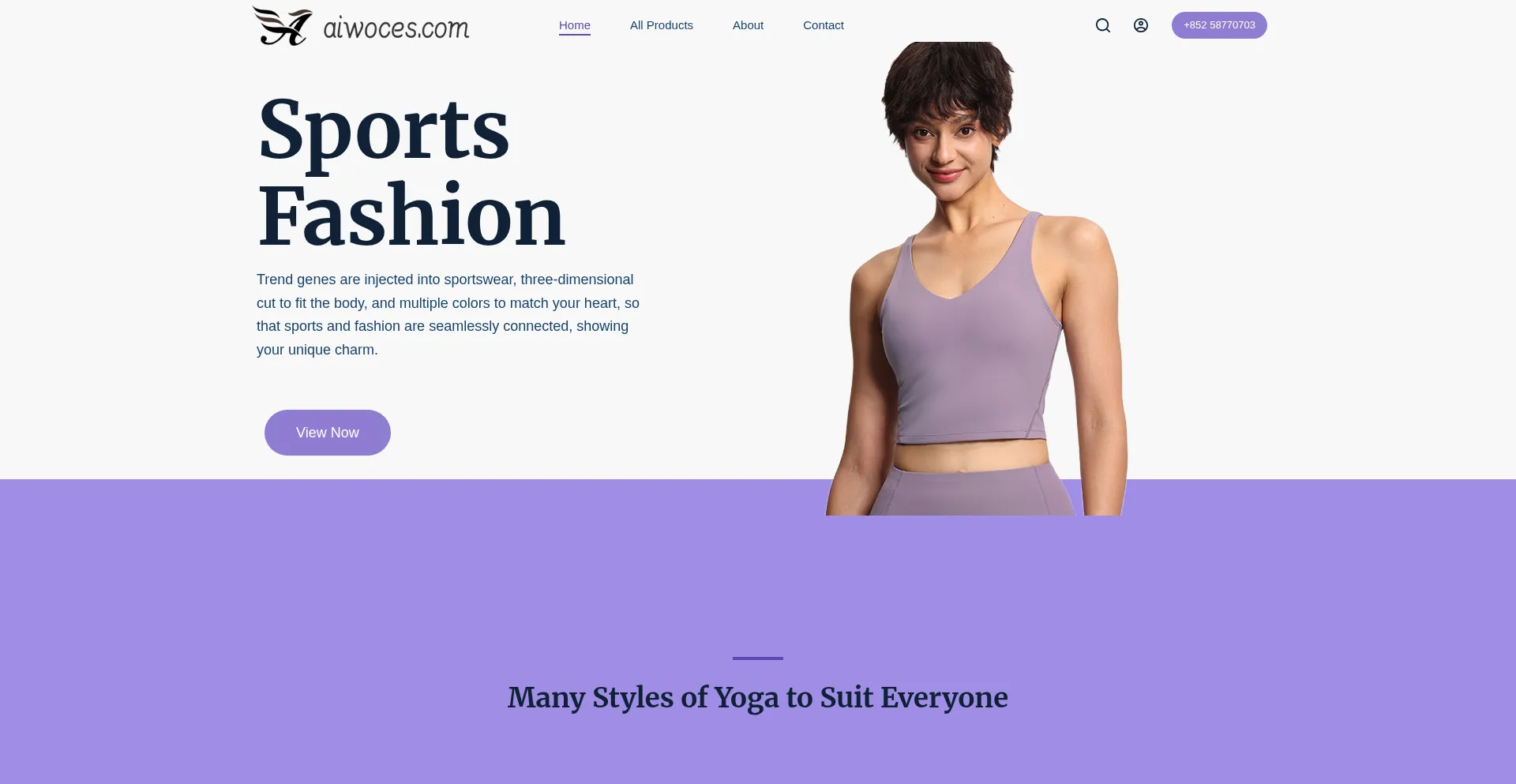 Website screenshot of Aiwoces.com