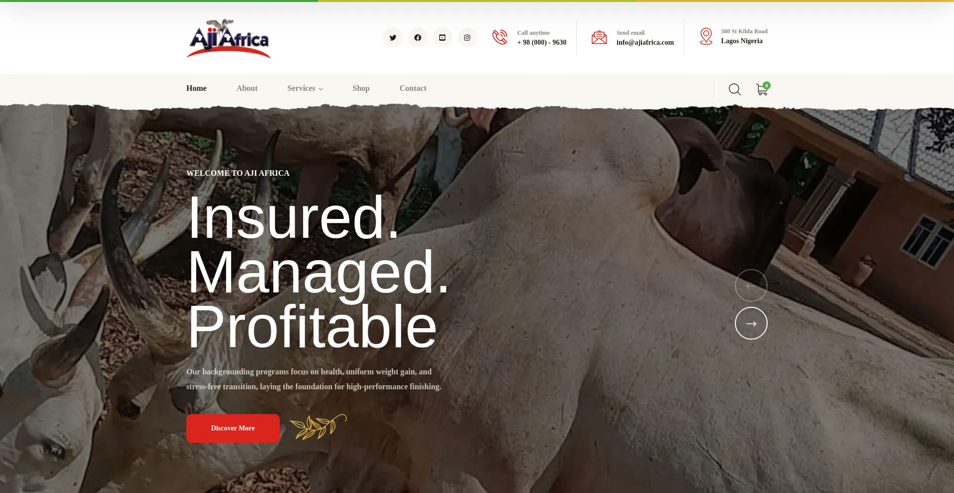 Website screenshot of Ajiafrica.com