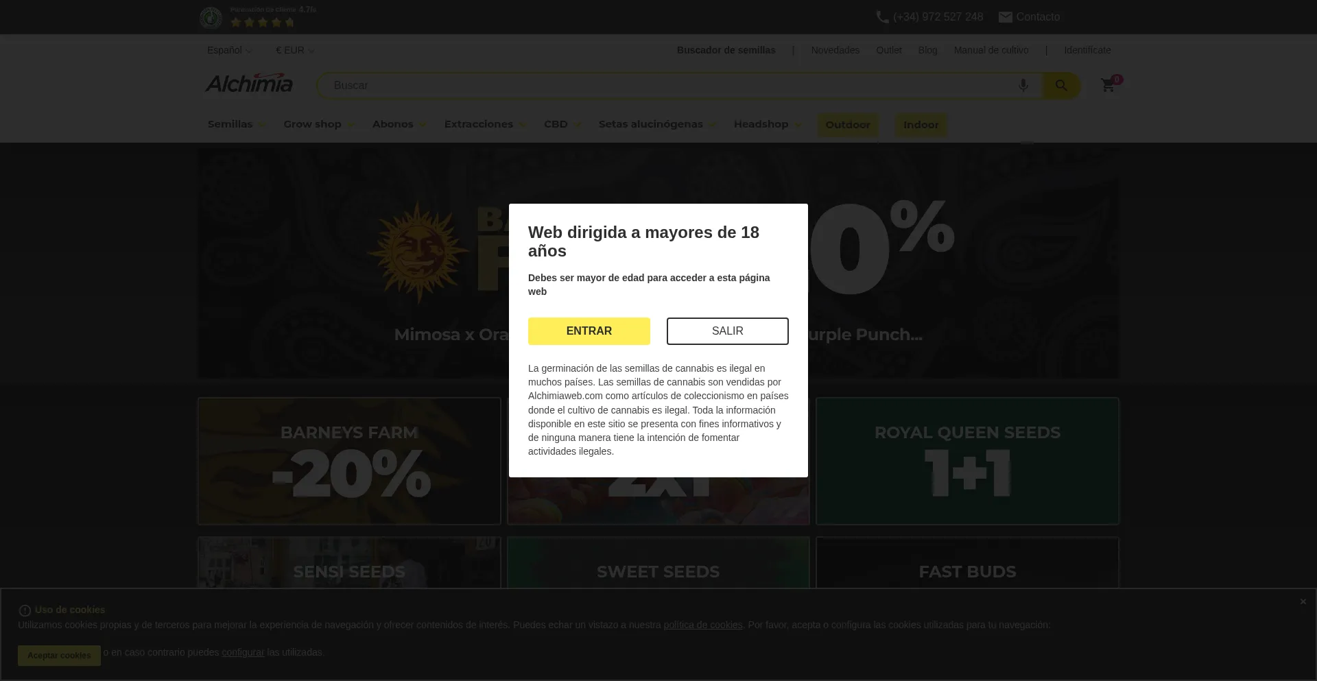 Website screenshot of Alchimiaweb.com