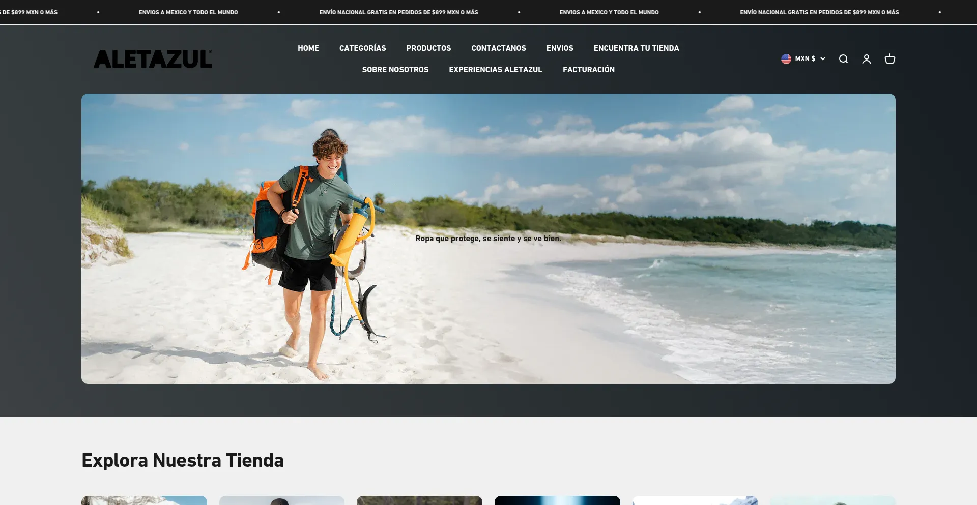 Website screenshot of Aletazulcompany.com