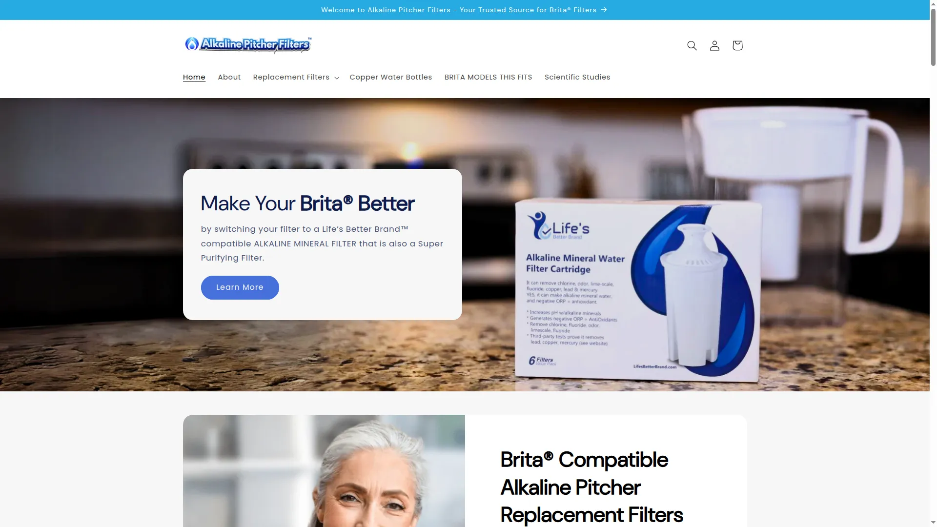 Alkalinepitcherfilters.com