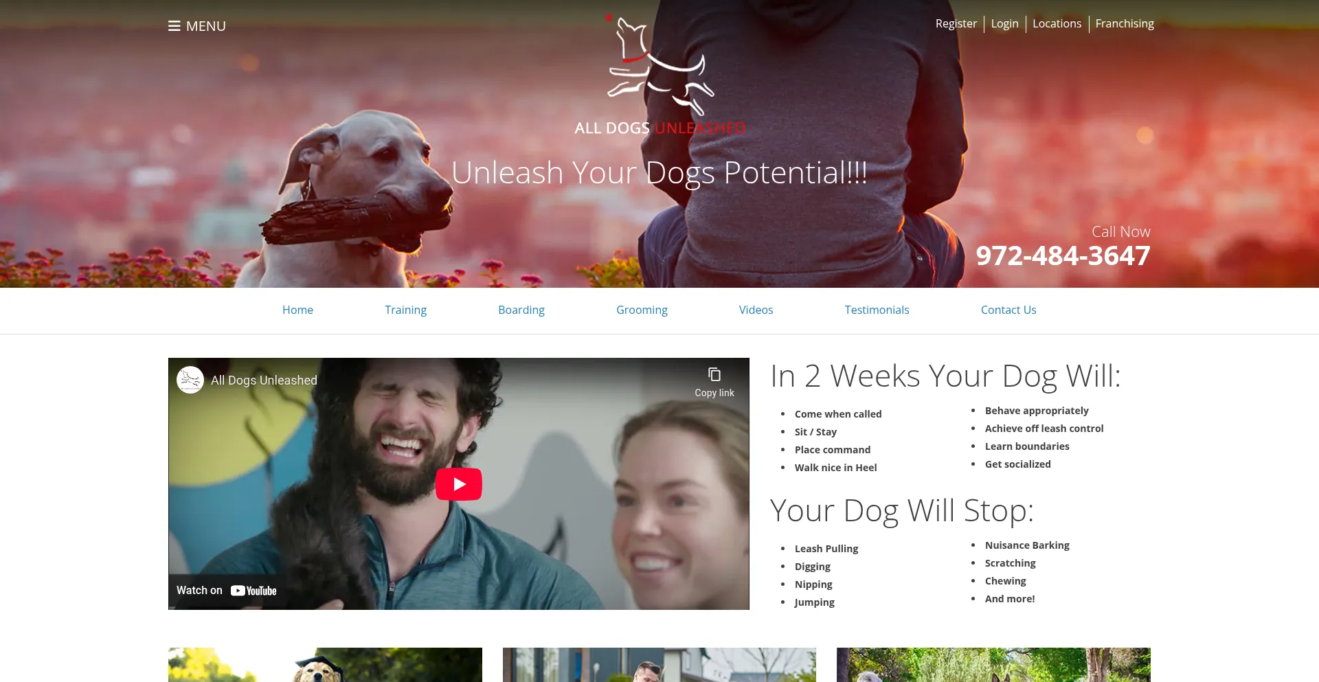 Alldogsunleashed.com