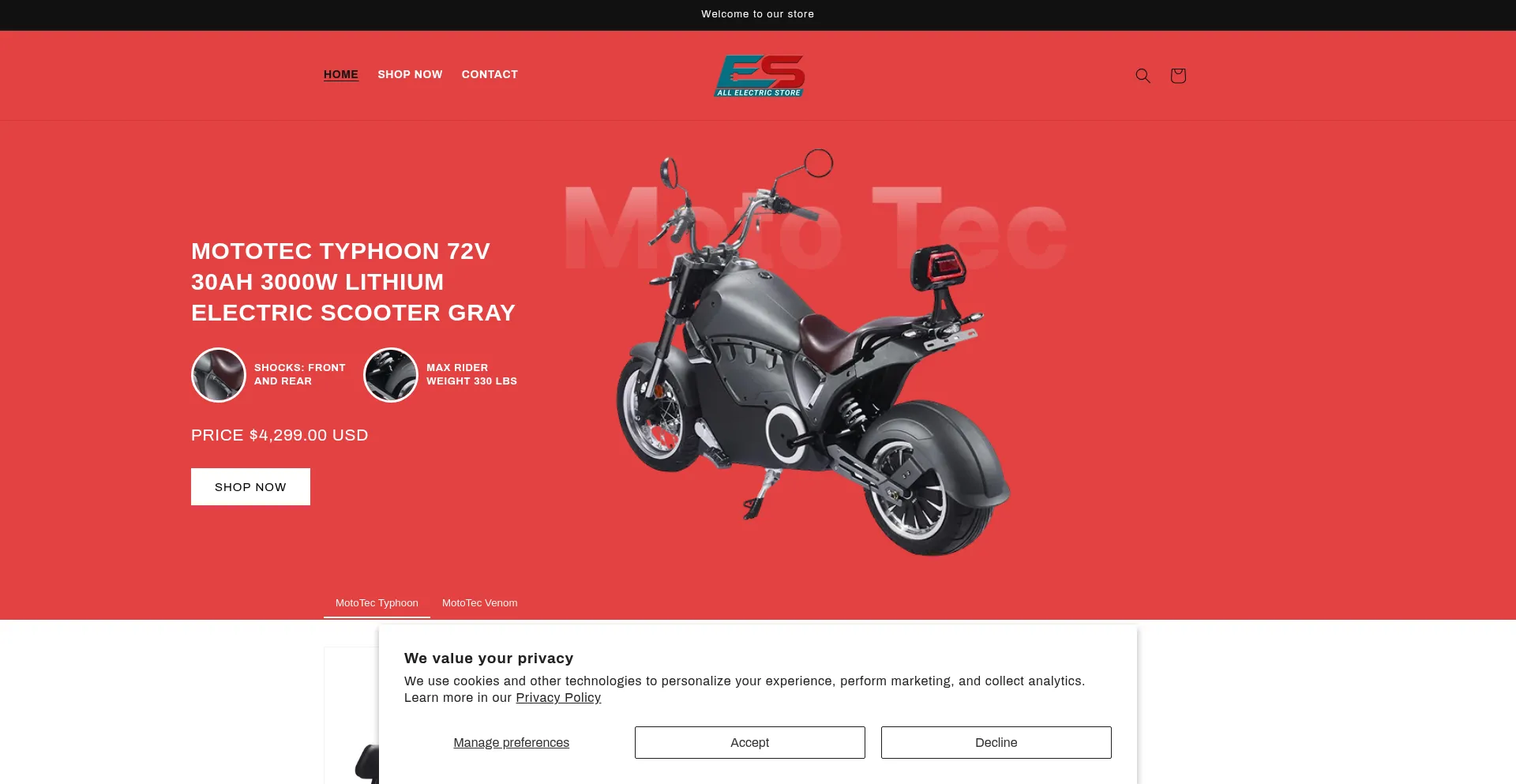 Website screenshot of Allelectricstore.com