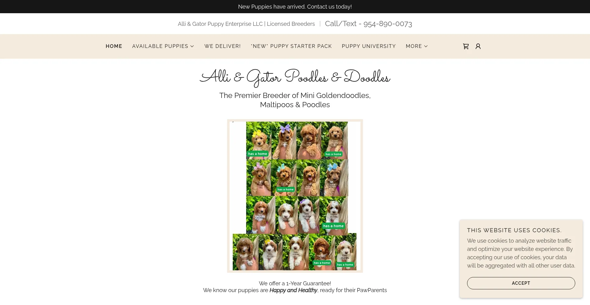 Website screenshot of Alliandgatorpoodlesanddoodles.com