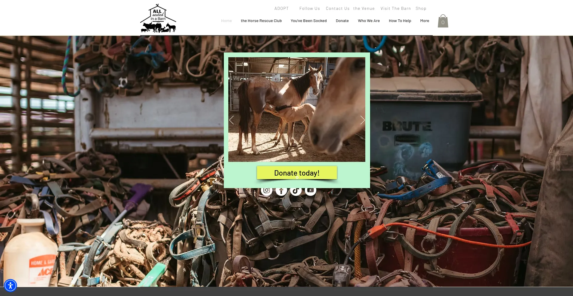 Website screenshot of Allseatedinabarn.com
