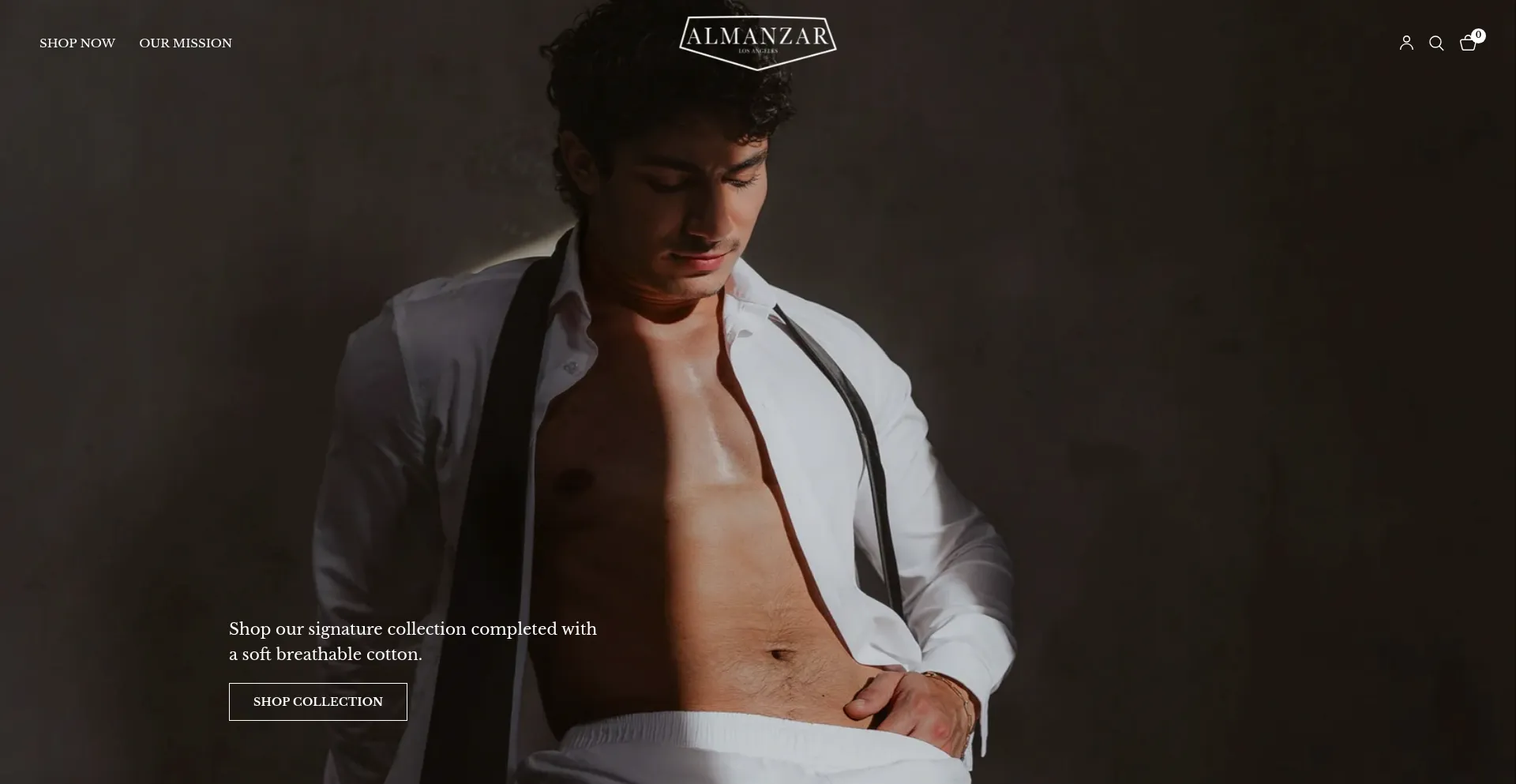 Website screenshot of Almanzarapparel.com