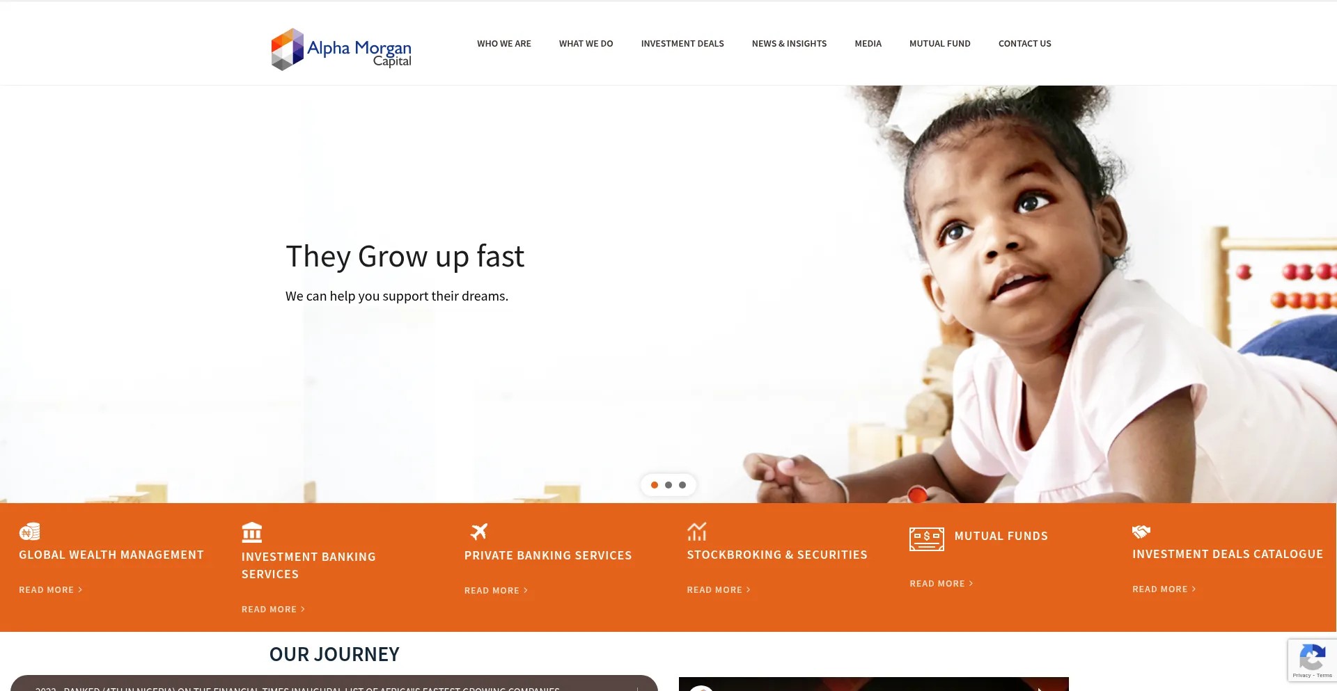 Website screenshot of Alphamorgan.com