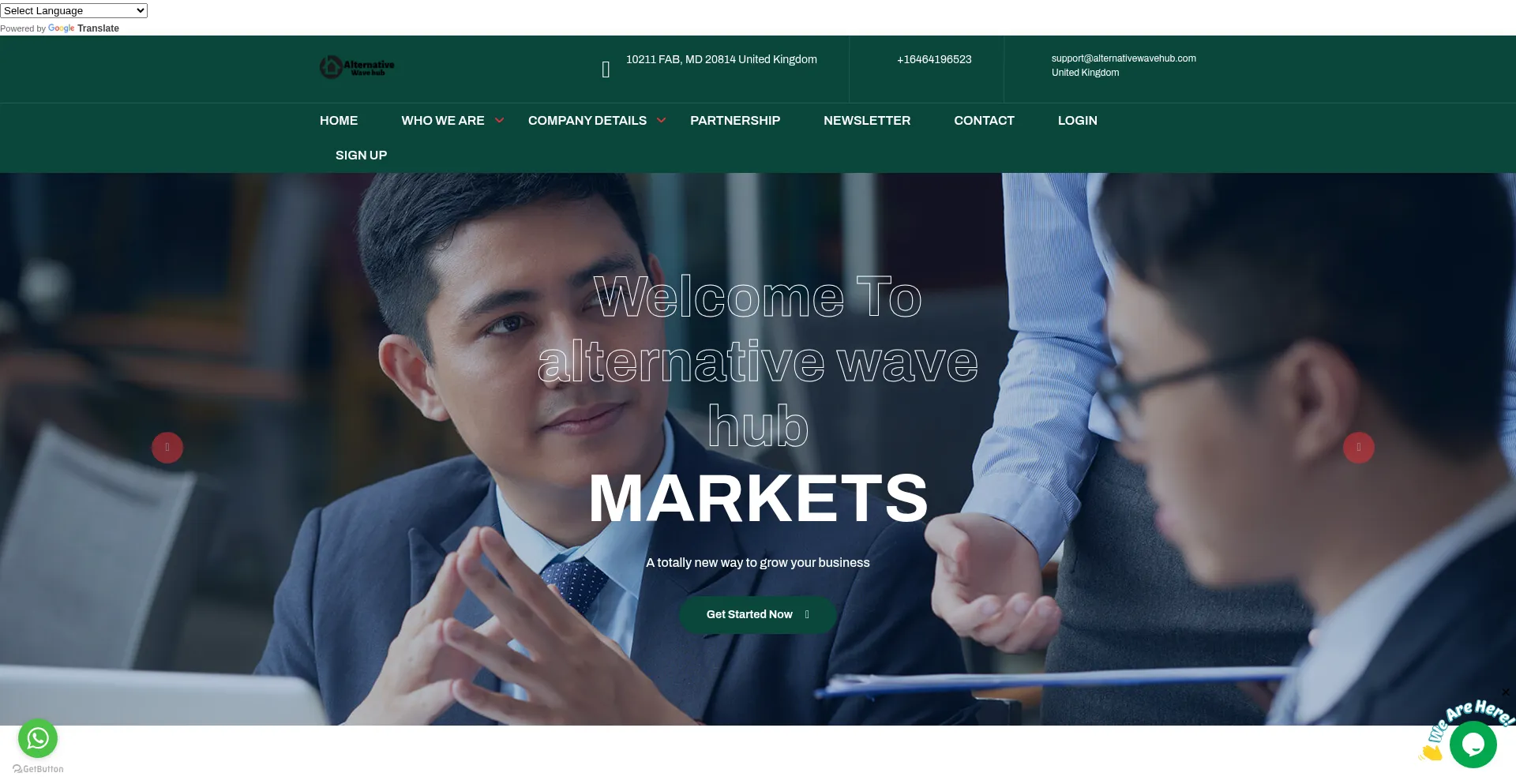 Website screenshot of Alternativewavehub.com