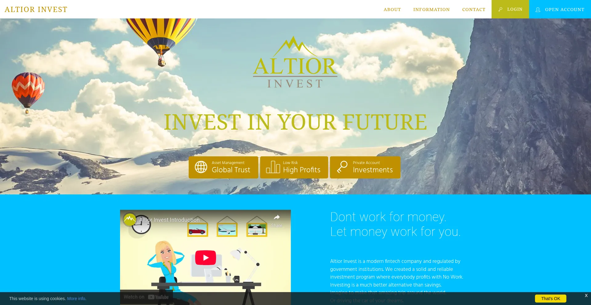 Website screenshot of Altiorinvest.co