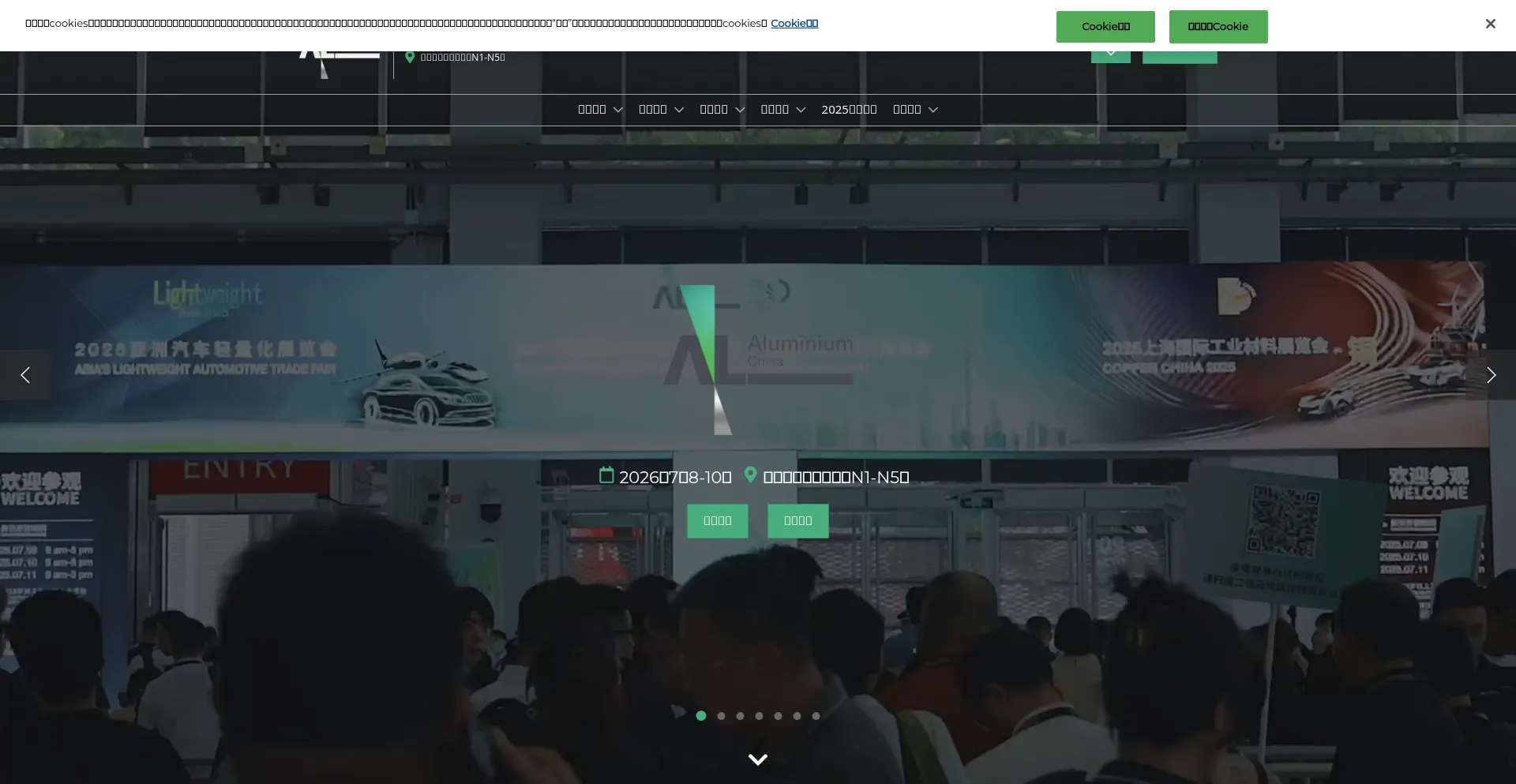 Website screenshot of Aluminiumchina.com